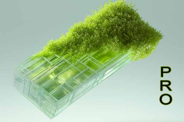 EcoHosting Business Pro